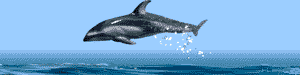 fish010(1).gif (10200 byte)
